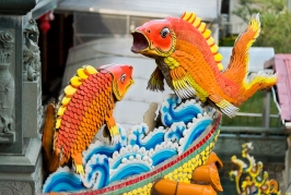 D800-20141028-091644-A