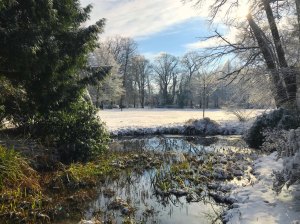 Winter-im-Park