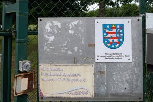 Peter Reich und Dr. Hans-Jörg Zöllner beobachten den Weg der Haflinger vom Stall auf die Weide