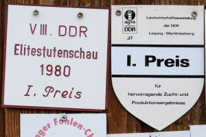 Peter Reich und Dr. Hans-Jörg Zöllner beobachten den Weg der Haflinger vom Stall auf die Weide Peter Reich und Dr. Hans-Jörg Zöllner beobachten den Weg der Haflinger vom Stall auf die Weide