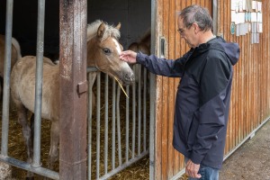 Peter Reich und Dr. Hans-Jörg Zöllner beobachten den Weg der Haflinger vom Stall auf die Weide Peter Reich und Dr. Hans-Jörg Zöllner beobachten den Weg der Haflinger vom Stall auf die Weide