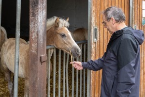 Peter Reich und Dr. Hans-Jörg Zöllner beobachten den Weg der Haflinger vom Stall auf die Weide Peter Reich und Dr. Hans-Jörg Zöllner beobachten den Weg der Haflinger vom Stall auf die Weide