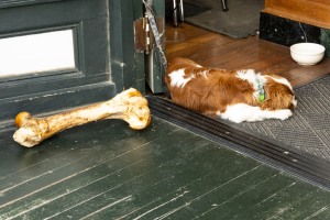 Skagway - Ein Gang durch die Stadt