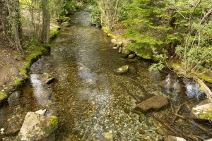 Skagway - Ein Gang durch die Stadt Skagway - Ein Gang durch die Stadt