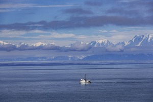 Ein Tag am HUBBARD GLACIER