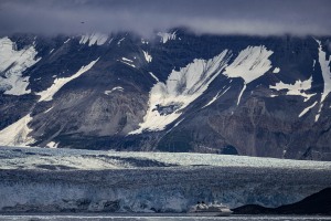 Ein Tag am HUBBARD GLACIER